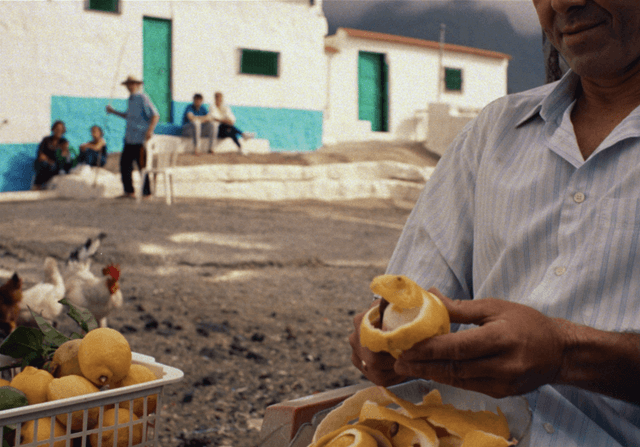 Lemons & Sand (DC), CANADA, 2024