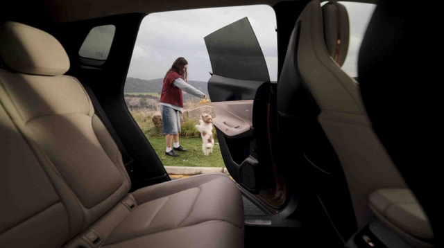 LimitLess, CANADA, 2026